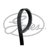 Gates KANALLI KAYIŞ A4-A6-BERLINGO-XSARA-ZX-JUMPER-P306-PALIO-PUNTO-ALBEA-UNO-ACCENT-ELANTRA-İ30-CERATO 96138810 7799581 5750 80