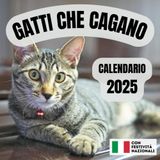 Gatti che cagano Calendario 2025: 12 mesi profumati 12 immagini di gatti cagati | Idea regalo stupido e divertente per amici | Libri e oggetti strani