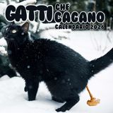 Gatti che Cagano Calendario 2026: idee regalo per gli amanti dei gatti nella notte di Capodanno: immagini e citazioni divertenti.