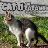Gatti che Cagano Calendario 2026: il regalo perfetto per gli amanti dei gatti (12 immagini divertenti con citazioni spiritose).