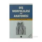 Gazi Kitabevi Diş Morfolojisi ve Anatomisi - Hüsnü Yavuz Yılmaz Normal Boy 532 Sayfa Ciltsiz Eğitim Kitabı