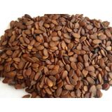 Gaziantep Pazarı 250 gr Karpuz Çekirdeği