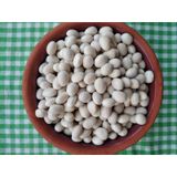Gaziantep Pazarı Şeker Fasülye 1 KG
