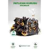 gaziantepli bereket ana baklava & yöresel Dolmalık Patlıcan Kurusu 1 Paket (20 Adet) Orjinal Antep Patlıcan