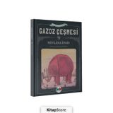 Gazoz Çeşmesi - Acayip Hayvanlar - Mevlana İdris