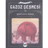 Gazoz Çeşmesi - Mevlana İdris