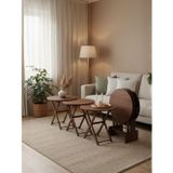 Gazzini Furniture Loop 4'lü Ahşap Çanta Zigon Sehpa