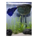 GB AQUA Betta Balığı Yüzen Mağara - 3D Baskı Akvaryum Saklanma Alanı - Dinlenme ve Yuva Dekoru