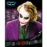 GB eye BATMAN JOKER WHY SO SERIOUS MINI POSTER