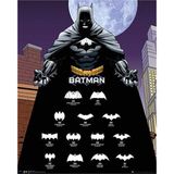 Gb Eye Batman Logos Mini Poster