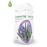 Gebece 20 cc Lavanta Yağı