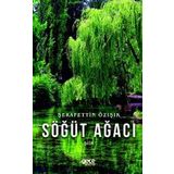 Gece Kitaplığı Söğüt Ağacı