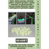 Gece Parlayan Saksı Bahçe Yürüyüş Yolu Otopark Havuz Akvaryum Çok Şık Fosforlu Çakıl Taşı 50 Adet Vitrin