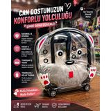 Gece Petshop Şeffaf Tekerlekli Kedi Taşıma Çantası – Konforlu ve Hava Delikli Pet Seyahat Çantası