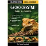 Gecko Crestati (Cura e Allevamento): Cura dei gechi crestati, salute, dieta, allevamento, gabbie, pro e contro e molto altro ancora incluso
