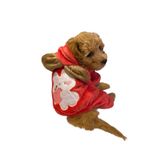 Gedyco Lola Love Yumuşacık Peluş Küçük Irk Köpek Tulumu - XL