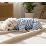 Gedyco The Best Blue Striped Küçük Irk Köpek Penye Tulum Pijama | yumuşacık, likralı, penye, esnek köpek pijaması, köpek tulumu