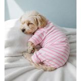 Gedyco The Best Pink Striped Küçük Irk Köpek Penye Tulum Pijama | yumuşacık, likralı, penye, esnek köpek pijaması, köpek tulumu