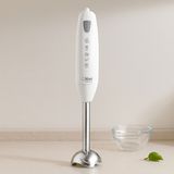 Gees Global 300W Çubuk El Blender - Çelik Uçlu