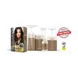 Gees Global Beauty Expert Haır Color (Keratin)'li 1 Kutu (2 x 50 Ml) (Koyu Kahve 3.0)