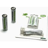 Gees Global Şarj Edilebilir Pil Type-C Şarjlı Li-Ion Lityum Kalem Pil 2800MAH/1.5V/AA Şarjlı Pil