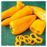 Geleneksel Doğal Acı Yellow Jalapeno Biber Tohumu (10 Adet)