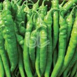 Geleneksel Sofralık Verimli Özel Ürün Burdem 016 Biber Tohumu 10 N11.1214