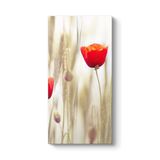 Gelincik Çiçeği Tablosu 70 x 140