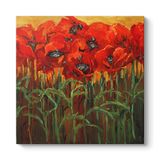 Gelincik Çiçeği Tarlası Tablosu 70 x 70