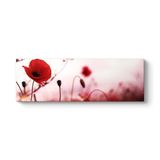 Gelincik Yalnızlık Tablosu 180 x 60