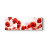 Gelincikler Tablosu 120 x 40