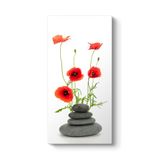 Gelincikler ve Taşlar Tablosu 50 x 100