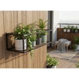 Gelişim Metal Flora -Modern Saksılık Kitaplık Dekoratif Çiçeklik - Siyah