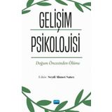 Gelişim Psikolojisi - Seydi Ahmet Satıcı