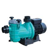 Gemaş Streamer Mini 1 Hp 380 V Havuz Pompası