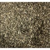 Gemlik Yem Alaca Çekirdek – Cennet ve Sultan Papağanı Paraket Yemi - 2 Kg