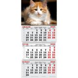 Genç Dijital Baskı 2026 Yılı Cymric Cins Kedi Gemici Takvimi