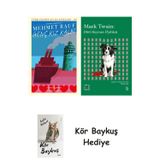 Genç Kız Kalbi + Everest Açıkhava 41 - Dört Hayvan Öyküsü + Kör Baykuş