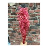 gençay Kurutulmuş Cipso Çiçeği – Yapay Çiçek Dekor, Masa Süsü, Fon, pembe