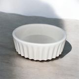 Genel Büyük Sukulent Saksısı 15X6 cm (Özel Üretim) - Standart