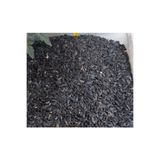 Genel By Tuna Kuruyemiş Papağan Siyah Çekirdek Yemi Kuş Yemi 1 Kg