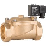 Genel Maksat Solenoid Valf Normalde Kapalı - 2" 220V AC