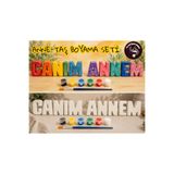 Genel Markalar Anne Hediyesi Taş Boyama Seti (10 Obje + 6 Renk Boya + 1 Fırça + Boyama Sertifikası)