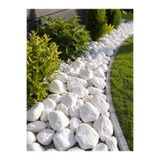 Genel Markalar Beyaz Botanik Taşı 6–8 cm – 5 Kg Dekoratif Bahçe Taşı
