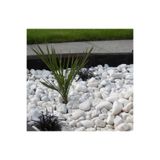 Genel Markalar Beyaz Dolomit Taş 10 Kg 4-6 Cm Dekorotif Taş Bahçe Süs Taşı Loche