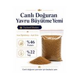 Genel Markalar Lepistes Canlı Doğuran Yavru Balık Yemi %46 Protein – İnce Öğütülmüş Yüksek Proteinli Büyütme Yemi