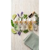 Genel Markalar S'hu Soap Co. %100 Saf Uçucu Yağ Seti 5x5 mL | Lavanta, Bergamot, Okaliptus, Çay Ağacı & Çörek Otu | Difüzör, Buhurdanlık ve Aromaterapi