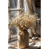 Genel Markalar Şoklanmış Beyaz Cipso (Gypsophila) – Doğal Dekoratif Kuru Çiçek