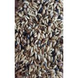 Genel Süper Karışık Kanarya Yemi 1 Kg