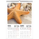 Genel Tedarik 2026 Deniz Kabukları Temalı A3 Duvar Takvimi Inkjet Fotoğraf Kağıdına Baskılı Spirallive Askılı